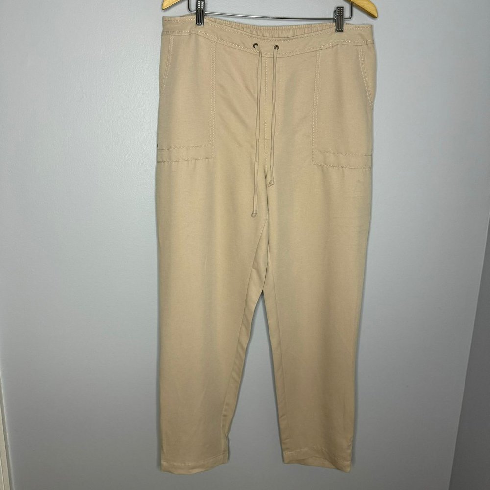 Chicos Pull On Pull-On Ankle Pants - image 3
